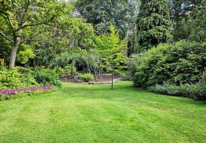 Optimiser l'expérience du jardin à Villard-Saint-Sauveur